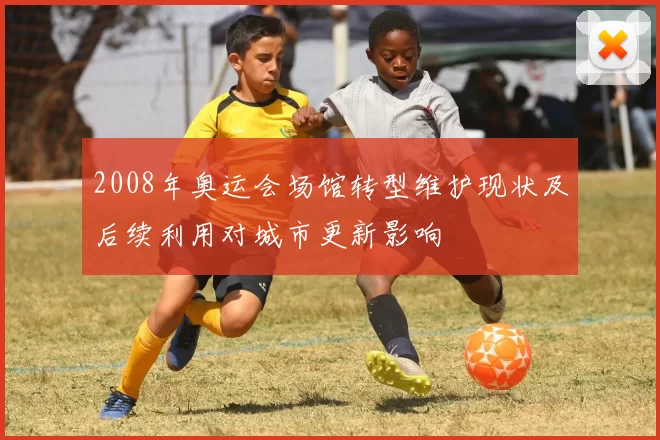 2008年奥运会场馆转型维护现状及后续利用对城市更新影响
