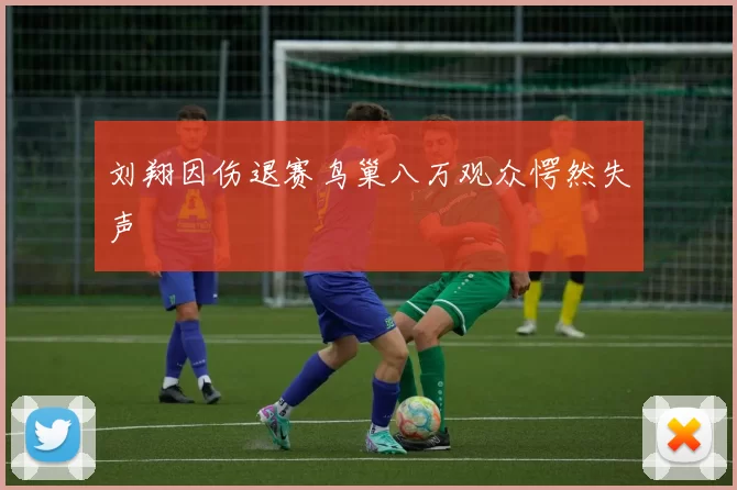 刘翔因伤退赛鸟巢八万观众愕然失声