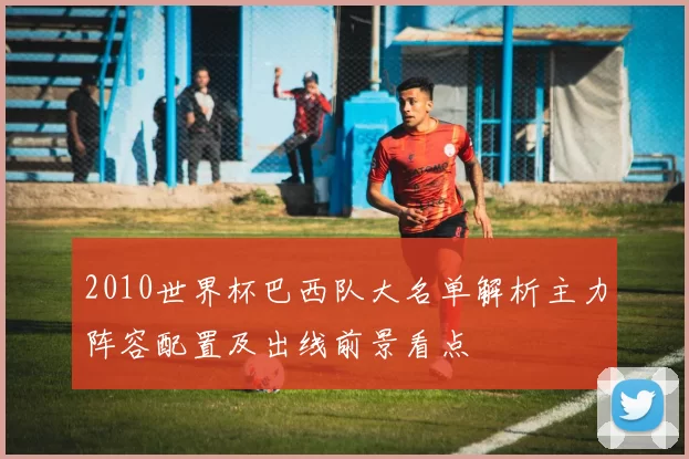 2010世界杯巴西队大名单解析主力阵容配置及出线前景看点