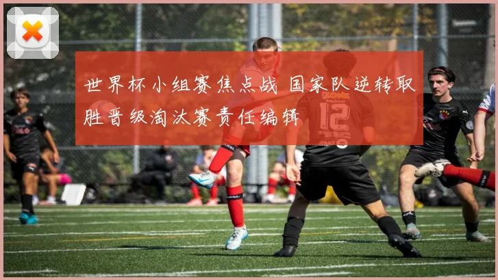 世界杯小组赛焦点战 国家队逆转取胜晋级淘汰赛责任编辑