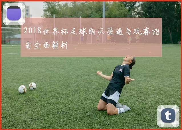 2018世界杯足球购买渠道与观赛指南全面解析